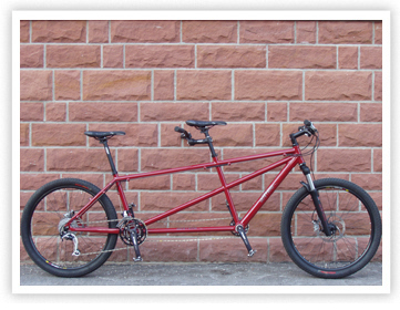 Mountain - Team Extreme