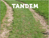 Tandem